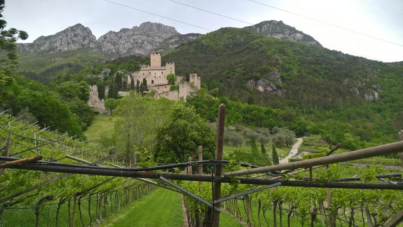 Masi Brenta Rovereto (Trentino Alto Adige)